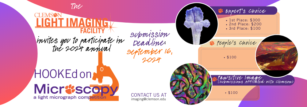 Contest Flyer 2024w